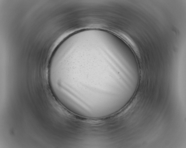 X0000113981340200910161614