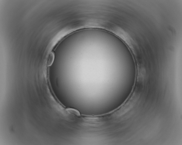 X0000113981342200910161614