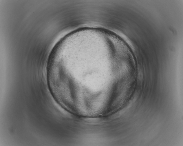 X0000113981343200910161614