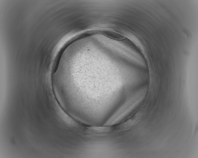 X0000113981344200910161614