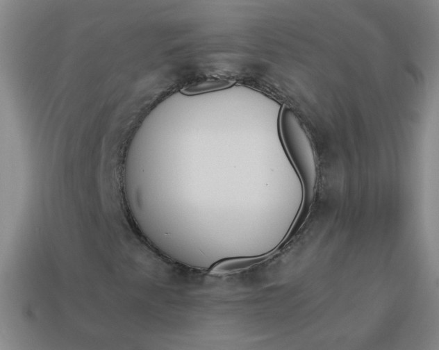 X0000113981345200910161613