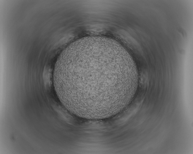 X0000113981346200910161613