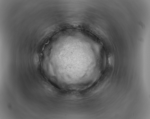 X0000113981347200910161613