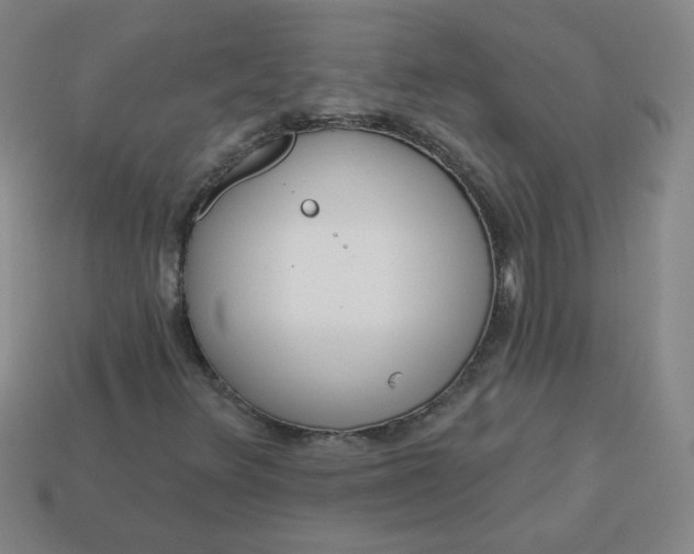 X0000113981348200910161613