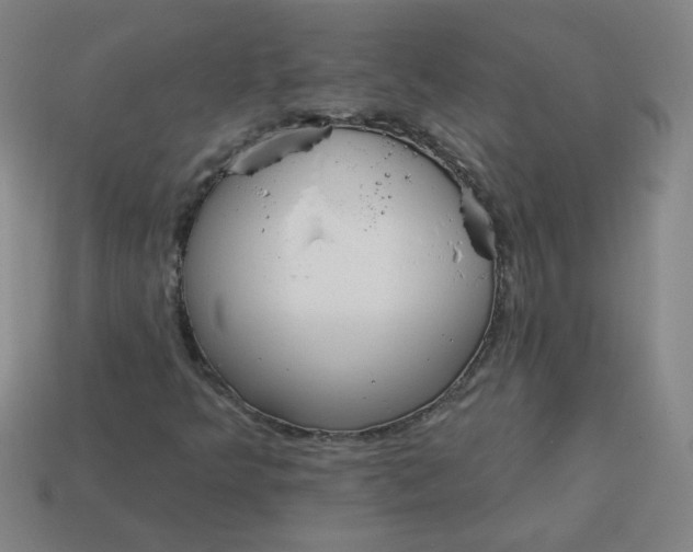 X0000113981349200910161613