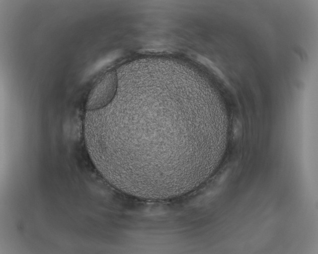 X0000113981350200910161613