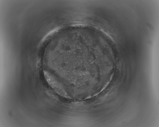 X0000113981351200910161613