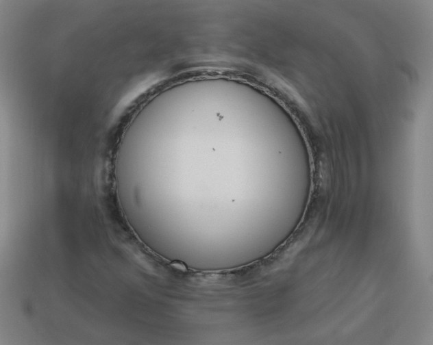 X0000113981352200910161613