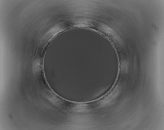 X0000113981353200910161613