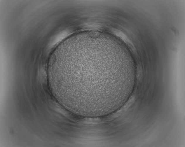 X0000113981354200910161613