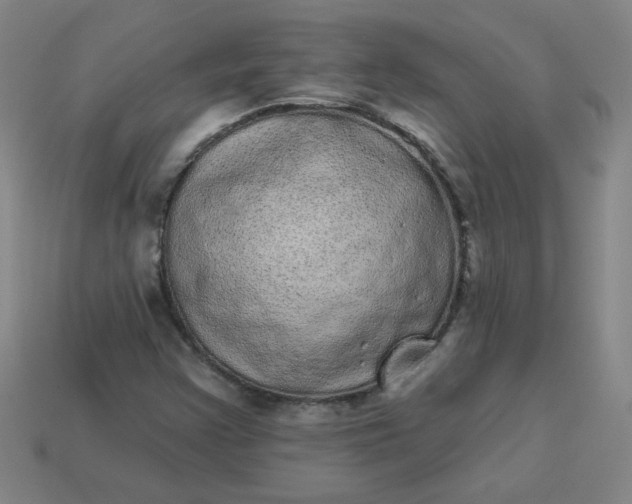 X0000113981355200910161613