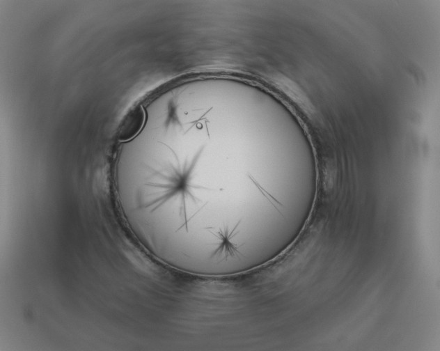 X0000113981356200910161613