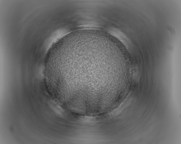 X0000113981357200910161613