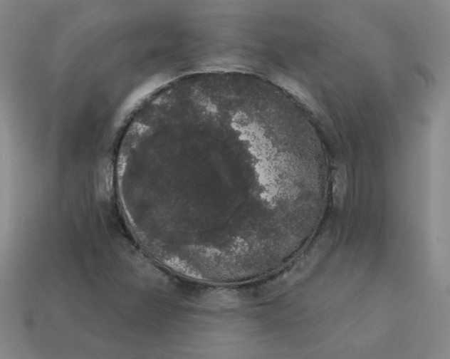 X0000113981358200910161613