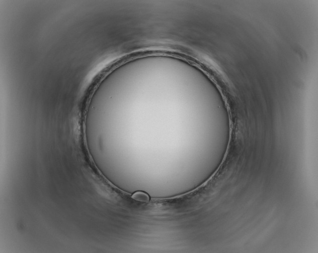 X0000113981360200910161613