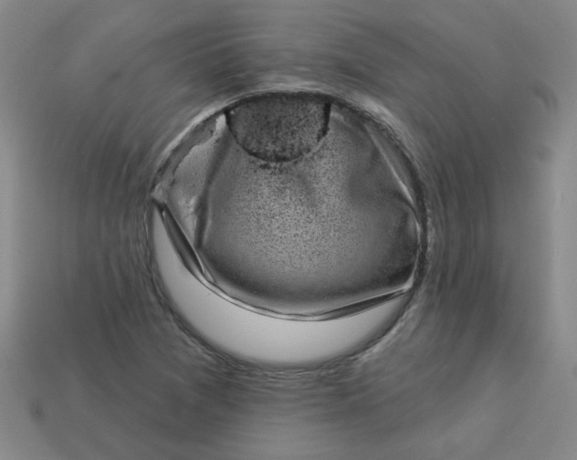 X0000113981361200910161613