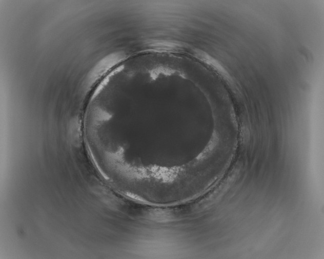 X0000113981362200910161613