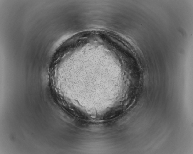 X0000113981363200910161613