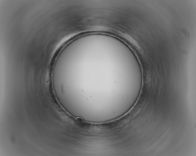 X0000113981364200910161613