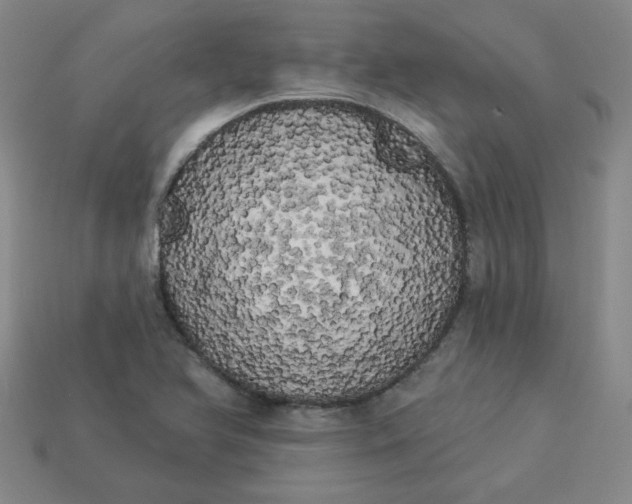 X0000113981366200910161613