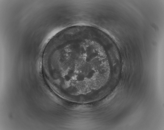 X0000113981367200910161613