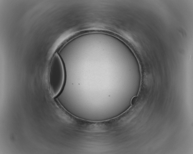 X0000113981368200910161613