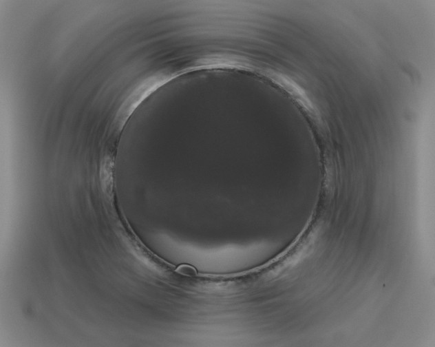 X0000113981369200910161613