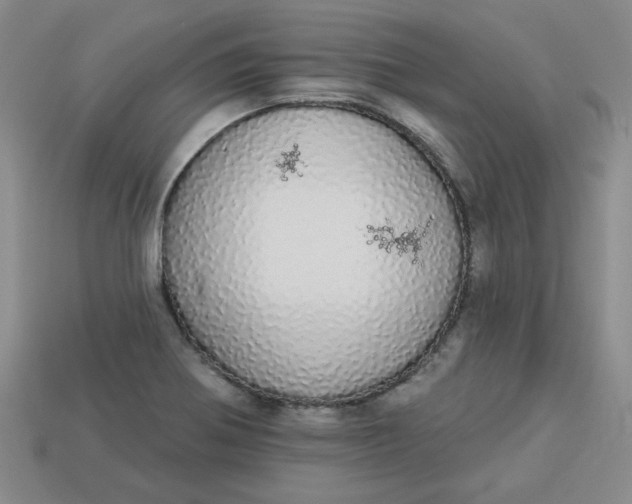 X0000113981370200910161613