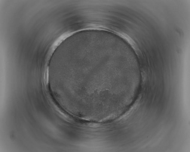 X0000113981371200910161613