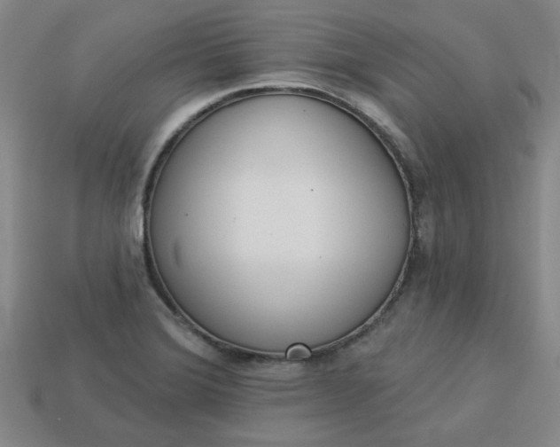 X0000113981372200910161613