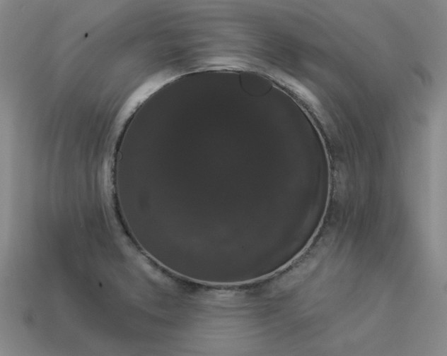 X0000113981373200910161613