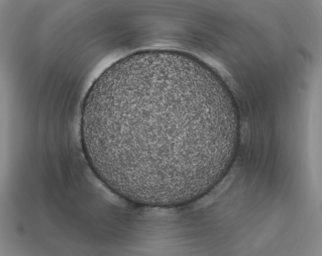 X0000113981374200910161613