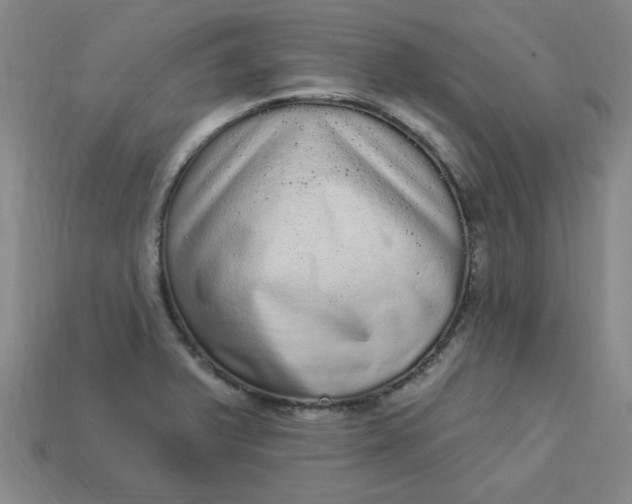 X0000113981375200910161613