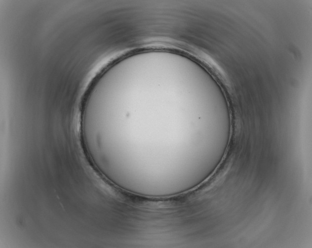 X0000113981376200910161613