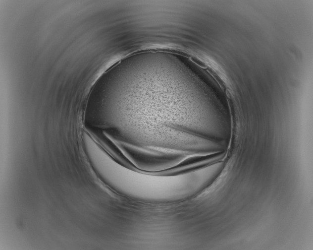 X0000113981377200910161613