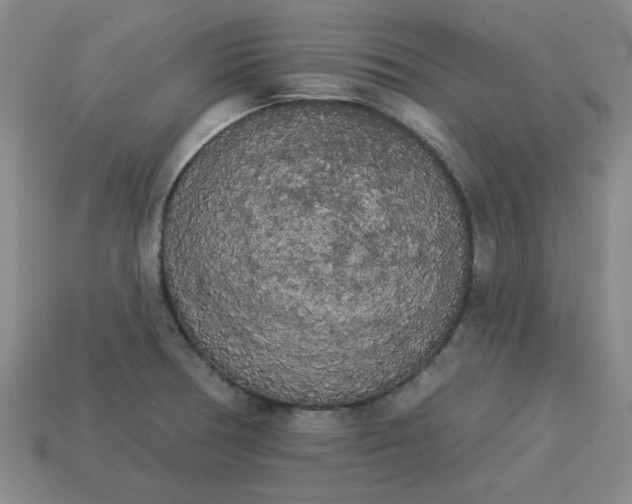 X0000113981378200910161613