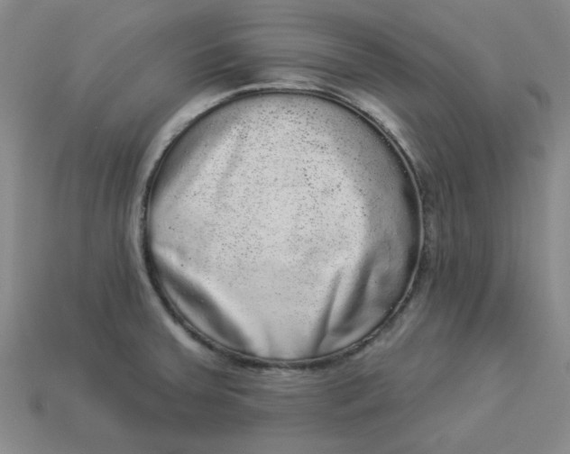 X0000113981379200910161613