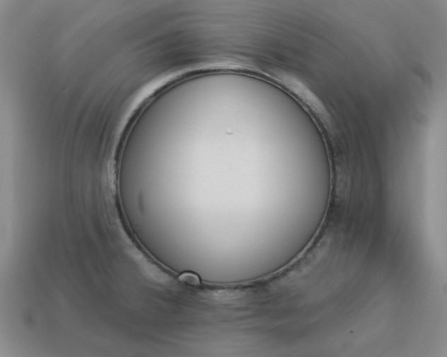 X0000113981380200910161613