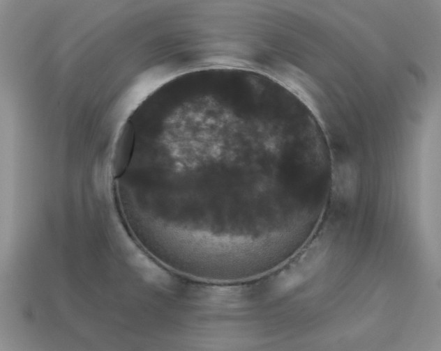 X0000113981381200910161613