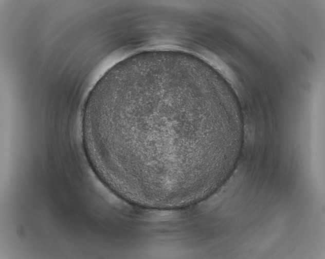 X0000113981382200910161612