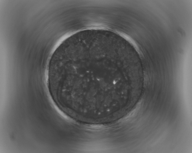 X0000113981383200910161612