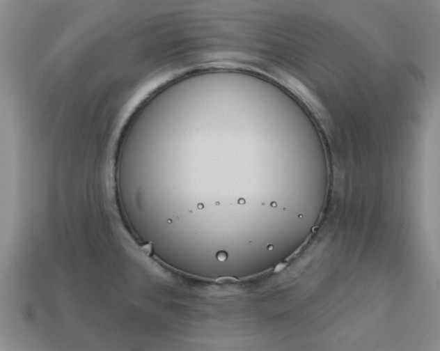 X0000113981384200910161612