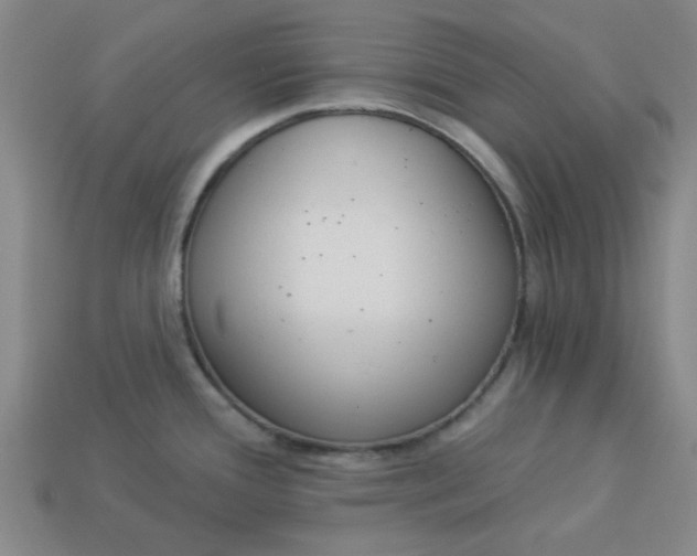 X0000113981388200910161612