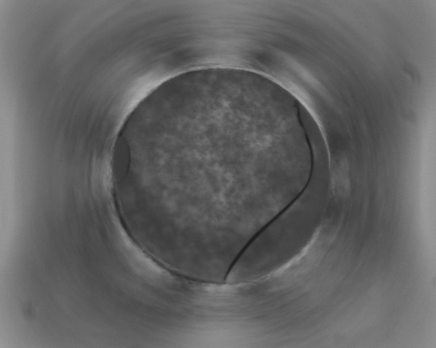 X0000113981389200910161612