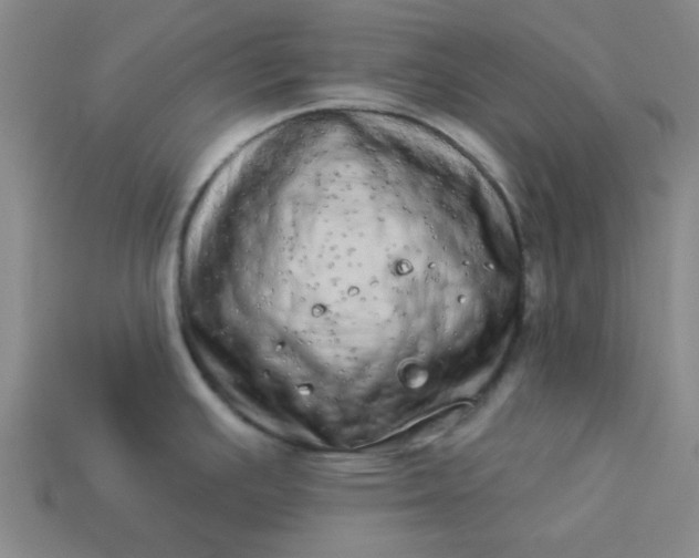 X0000113981391200910161612