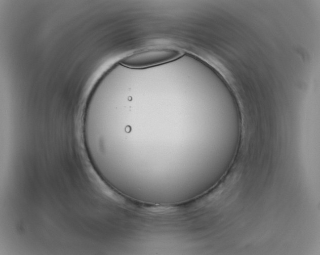 X0000113981392200910161612