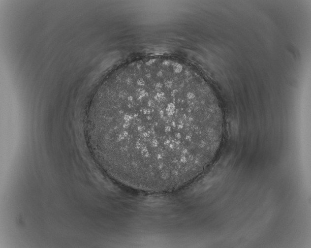 X0000113981393200910161612