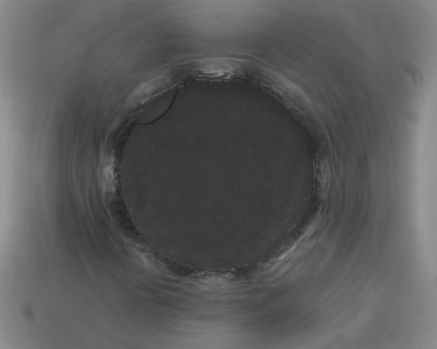 X0000113981394200910161612