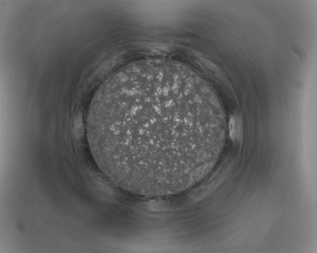 X0000113981395200910161612