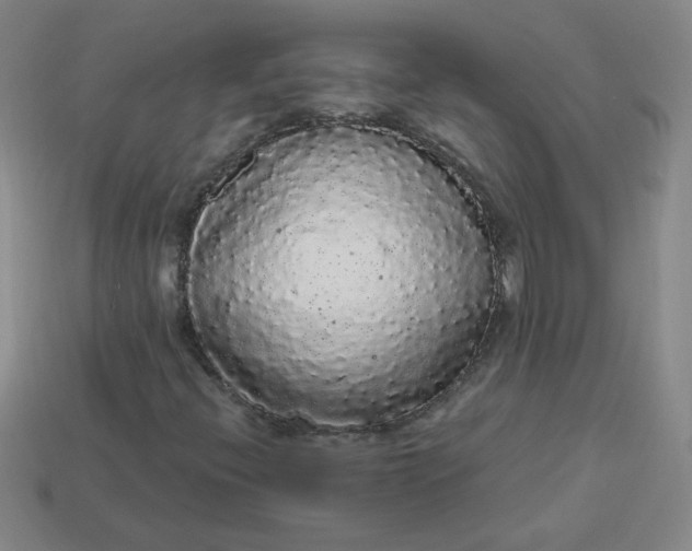 X0000113981396200910161612